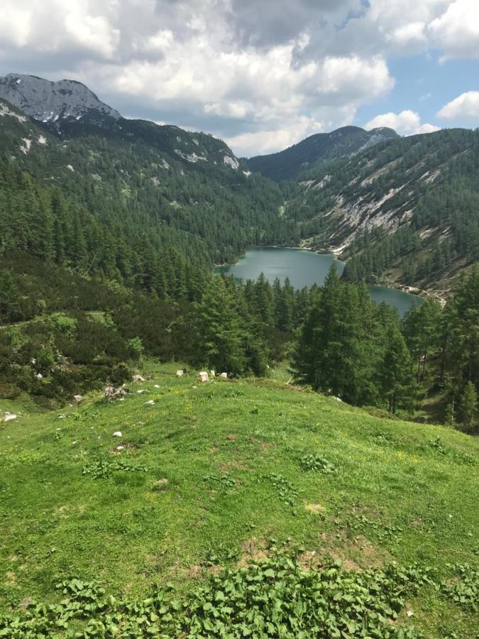 Pension Pichler Силлиан Экстерьер фото
