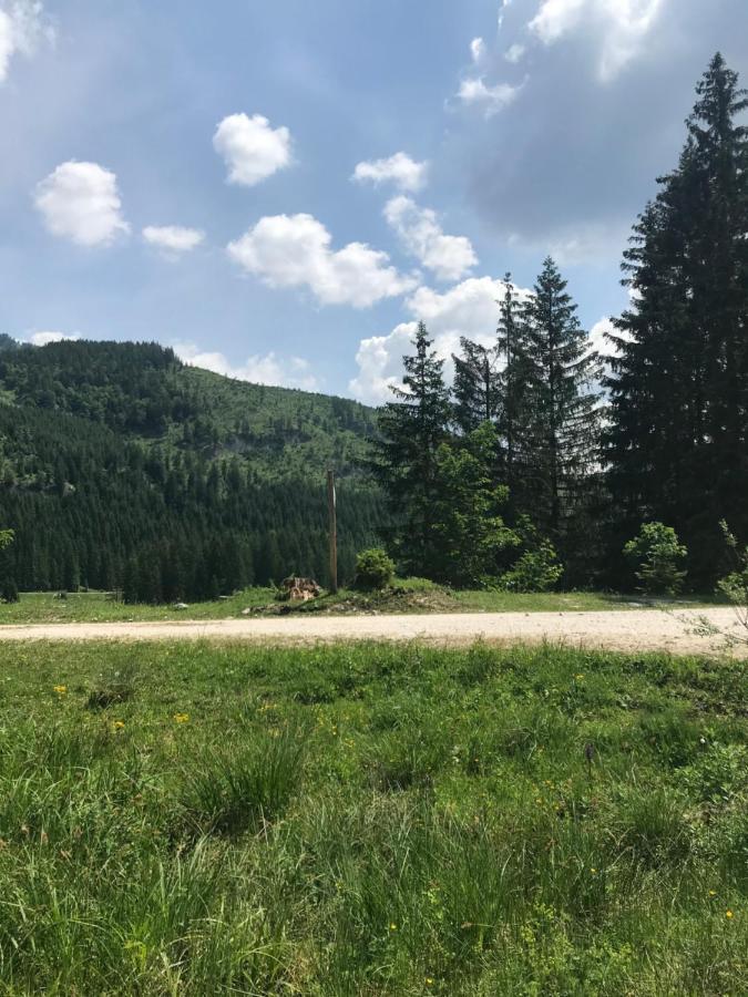 Pension Pichler Силлиан Экстерьер фото