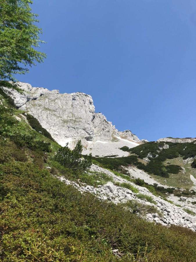 Pension Pichler Силлиан Экстерьер фото