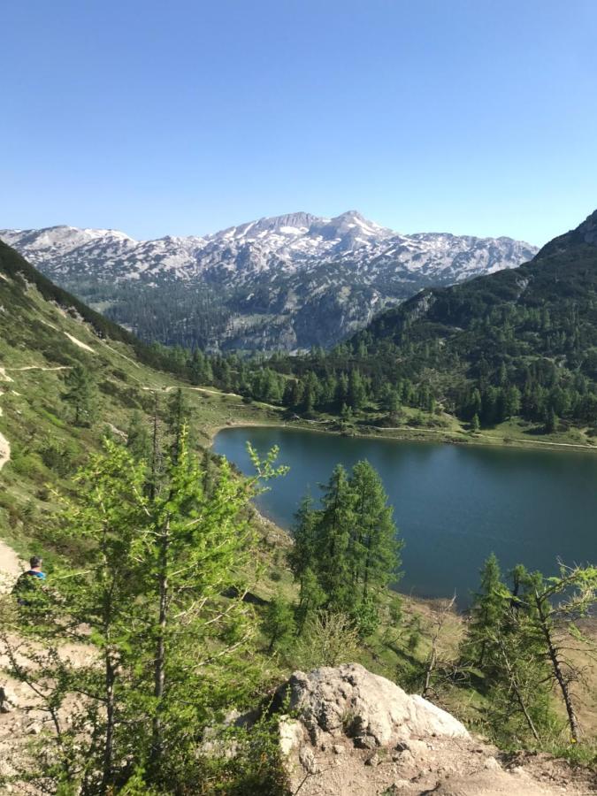 Pension Pichler Силлиан Экстерьер фото